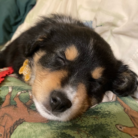 Meet your Posher, Lyndee - Picture 4 of 11